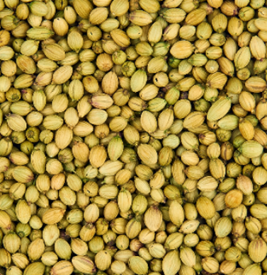 Coriander Powder